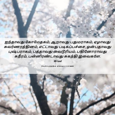 Picture 06 - வெளிப்படுத்தின விசேஷம் 21:20 TAMIRV - ஐந்தாவது - Bible Verse Picture