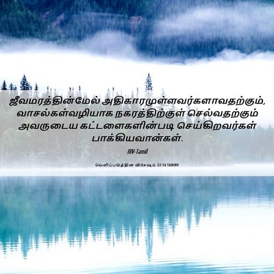 Picture 06 - வெளிப்படுத்தின விசேஷம் 22:14 TAMIRV - ஜீவமரத்தின்மேல் - Bible Verse Picture