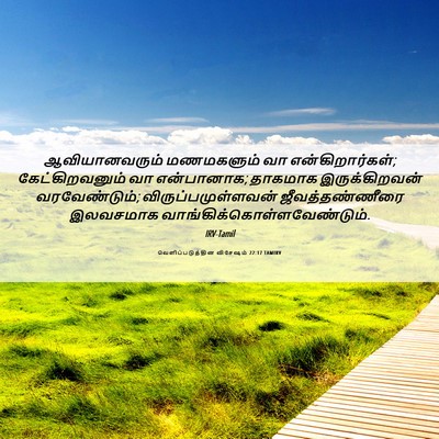 Picture 06 - வெளிப்படுத்தின விசேஷம் 22:17 TAMIRV - ஆவியானவரும் - Bible Verse Picture