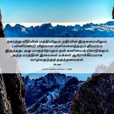 Picture 06 - வெளிப்படுத்தின விசேஷம் 22:2 TAMIRV - நகரத்து வீதியின் - Bible Verse Picture