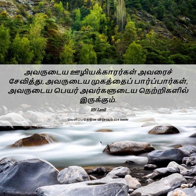 Picture 06 - வெளிப்படுத்தின விசேஷம் 22:4 TAMIRV - அவருடைய - Bible Verse Picture