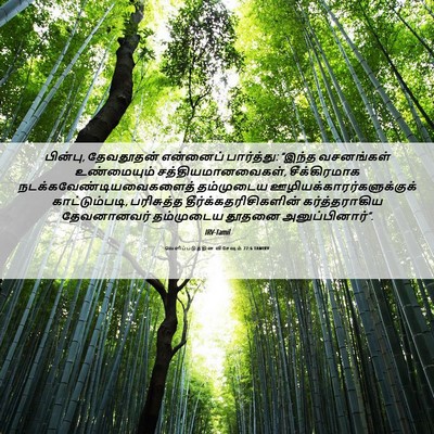 Picture 06 - வெளிப்படுத்தின விசேஷம் 22:6 TAMIRV - பின்பு, தேவதூதன் - Bible Verse Picture