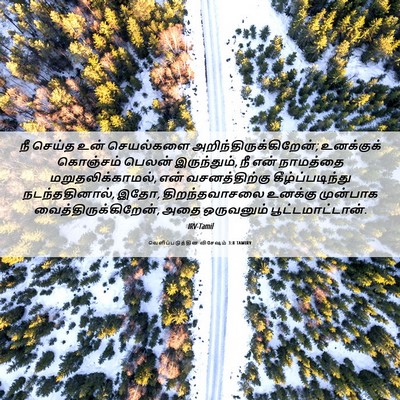 Picture 06 - வெளிப்படுத்தின விசேஷம் 3:8 TAMIRV - நீ செய்த உன் - Bible Verse Picture