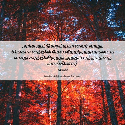 Picture 06 - வெளிப்படுத்தின விசேஷம் 5:7 TAMIRV - அந்த - Bible Verse Picture