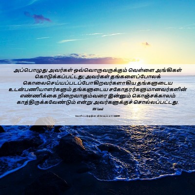 Picture 06 - வெளிப்படுத்தின விசேஷம் 6:11 TAMIRV - அப்பொழுது அவர்கள் - Bible Verse Picture