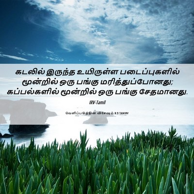 Picture 06 - வெளிப்படுத்தின விசேஷம் 8:9 TAMIRV - கடலில் இருந்த - Bible Verse Picture