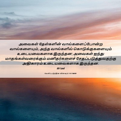 Picture 06 - வெளிப்படுத்தின விசேஷம் 9:10 TAMIRV - அவைகள் தேள்களின் - Bible Verse Picture