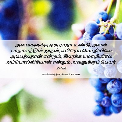Picture 06 - வெளிப்படுத்தின விசேஷம் 9:11 TAMIRV - அவைகளுக்கு ஒரு - Bible Verse Picture