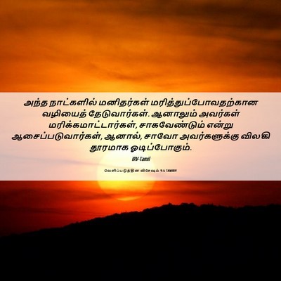 Picture 06 - வெளிப்படுத்தின விசேஷம் 9:6 TAMIRV - அந்த நாட்களில் - Bible Verse Picture