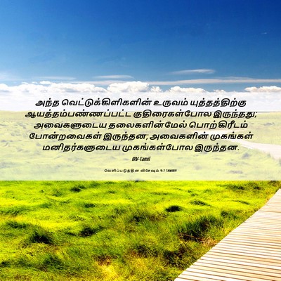 Picture 06 - வெளிப்படுத்தின விசேஷம் 9:7 TAMIRV - அந்த - Bible Verse Picture