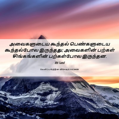 Picture 06 - வெளிப்படுத்தின விசேஷம் 9:8 TAMIRV - அவைகளுடைய கூந்தல் - Bible Verse Picture