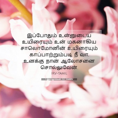 Picture 07 - 1 இராஜாக்கள் 1:12 TAMIRV - இப்போதும் - Bible Verse Picture