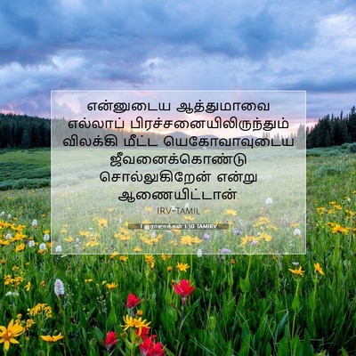 Picture 07 - 1 இராஜாக்கள் 1:30 TAMIRV - என்னுடைய - Bible Verse Picture