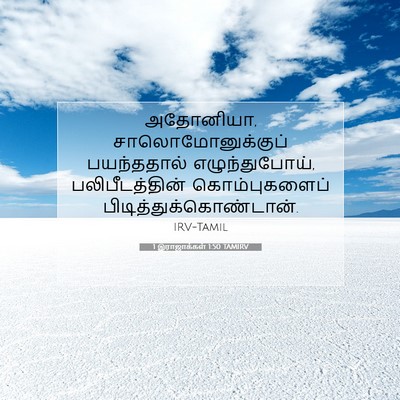 Picture 07 - 1 இராஜாக்கள் 1:50 TAMIRV - அதோனியா, - Bible Verse Picture
