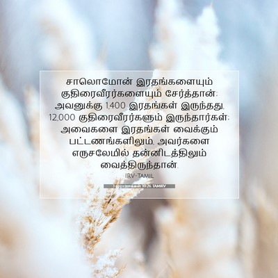 Picture 07 - 1 இராஜாக்கள் 10:26 TAMIRV - சாலொமோன் - Bible Verse Picture