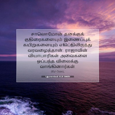 Picture 07 - 1 இராஜாக்கள் 10:28 TAMIRV - சாலொமோன் தனக்குக் - Bible Verse Picture