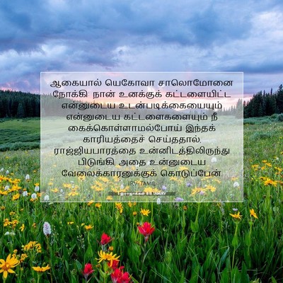 Picture 07 - 1 இராஜாக்கள் 11:11 TAMIRV - ஆகையால் யெகோவா - Bible Verse Picture