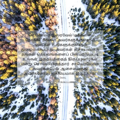Picture 07 - 1 இராஜாக்கள் 11:2 TAMIRV - யெகோவா இஸ்ரவேல் - Bible Verse Picture