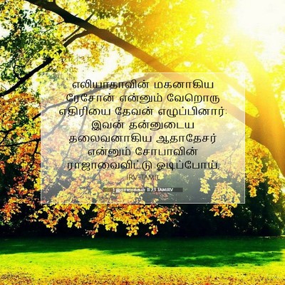 Picture 07 - 1 இராஜாக்கள் 11:23 TAMIRV - எலியாதாவின் - Bible Verse Picture