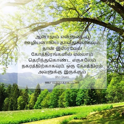 Picture 07 - 1 இராஜாக்கள் 11:32 TAMIRV - ஆனாலும் என்னுடைய - Bible Verse Picture