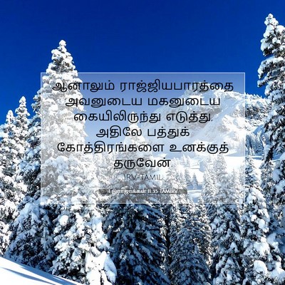 Picture 07 - 1 இராஜாக்கள் 11:35 TAMIRV - ஆனாலும் - Bible Verse Picture