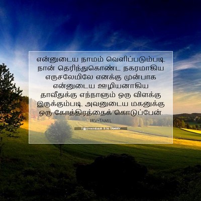 Picture 07 - 1 இராஜாக்கள் 11:36 TAMIRV - என்னுடைய நாமம் - Bible Verse Picture