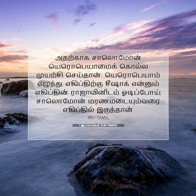 Picture 07 - 1 இராஜாக்கள் 11:40 TAMIRV - அதற்காக சாலொமோன் - Bible Verse Picture
