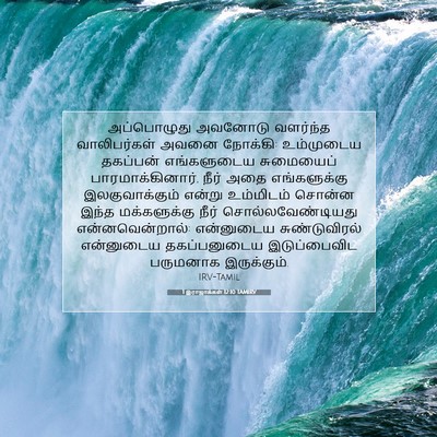 Picture 07 - 1 இராஜாக்கள் 12:10 TAMIRV - அப்பொழுது அவனோடு - Bible Verse Picture