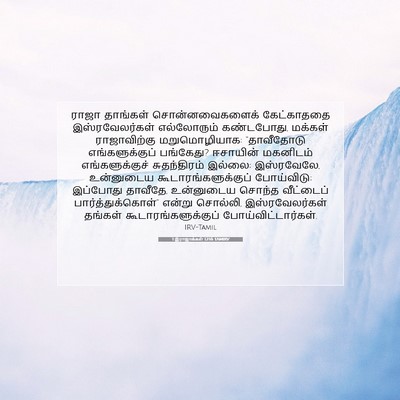Picture 07 - 1 இராஜாக்கள் 12:16 TAMIRV - ராஜா தாங்கள் - Bible Verse Picture