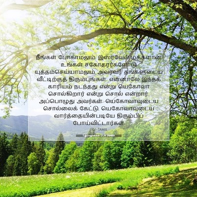 Picture 07 - 1 இராஜாக்கள் 12:24 TAMIRV - நீங்கள் - Bible Verse Picture