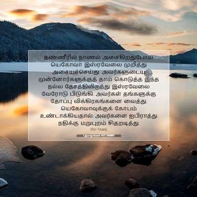 Picture 07 - 1 இராஜாக்கள் 14:15 TAMIRV - தண்ணீரில் நாணல் - Bible Verse Picture