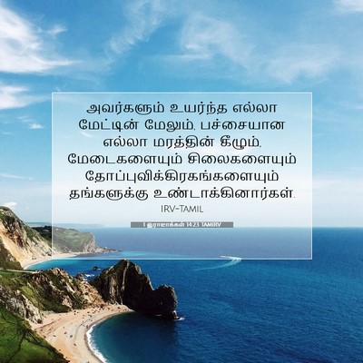 Picture 07 - 1 இராஜாக்கள் 14:23 TAMIRV - அவர்களும் உயர்ந்த - Bible Verse Picture