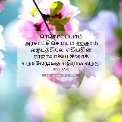 Picture 07 - 1 இராஜாக்கள் 14:25 TAMIRV - ரெகொபெயாம் - Bible Verse Picture