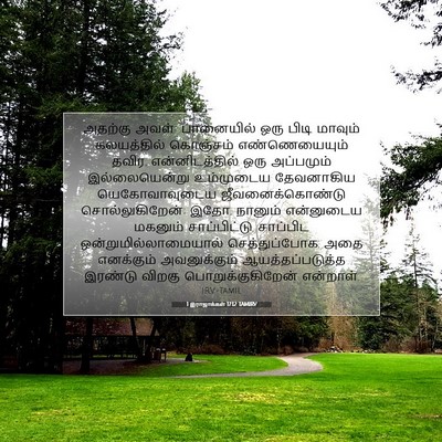 Picture 07 - 1 இராஜாக்கள் 17:12 TAMIRV - அதற்கு அவள்: - Bible Verse Picture