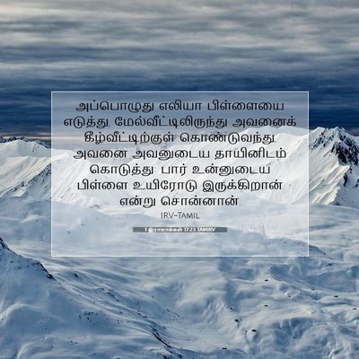 Picture 07 - 1 இராஜாக்கள் 17:23 TAMIRV - அப்பொழுது எலியா - Bible Verse Picture