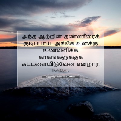 Picture 07 - 1 இராஜாக்கள் 17:4 TAMIRV - அந்த ஆற்றின் - Bible Verse Picture