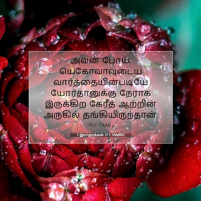 Picture 07 - 1 இராஜாக்கள் 17:5 TAMIRV - அவன் போய், - Bible Verse Picture