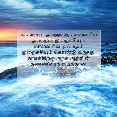 Picture 07 - 1 இராஜாக்கள் 17:6 TAMIRV - காகங்கள் அவனுக்கு - Bible Verse Picture
