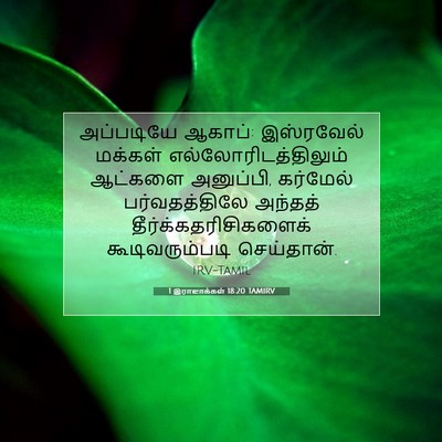 Picture 07 - 1 இராஜாக்கள் 18:20 TAMIRV - அப்படியே ஆகாப்: - Bible Verse Picture