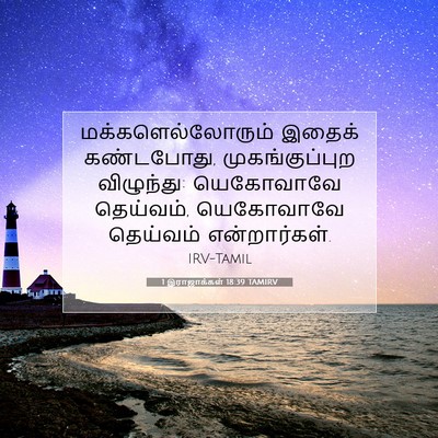 Picture 07 - 1 இராஜாக்கள் 18:39 TAMIRV - மக்களெல்லோரும் - Bible Verse Picture