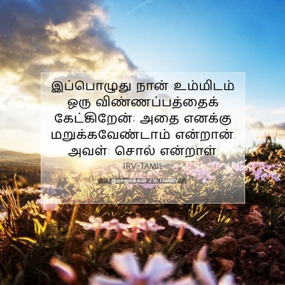 Picture 07 - 1 இராஜாக்கள் 2:16 TAMIRV - இப்பொழுது நான் - Bible Verse Picture