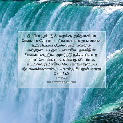 Picture 07 - 1 இராஜாக்கள் 2:24 TAMIRV - இப்போதும் - Bible Verse Picture