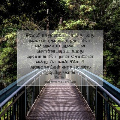 Picture 07 - 1 இராஜாக்கள் 2:38 TAMIRV - சீமேயி ராஜாவைப் - Bible Verse Picture