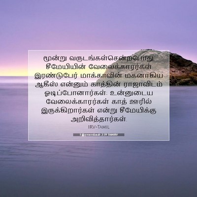 Picture 07 - 1 இராஜாக்கள் 2:39 TAMIRV - மூன்று - Bible Verse Picture
