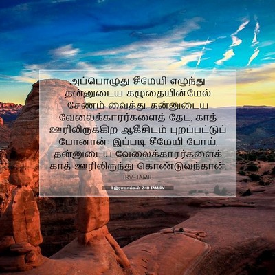 Picture 07 - 1 இராஜாக்கள் 2:40 TAMIRV - அப்பொழுது சீமேயி - Bible Verse Picture