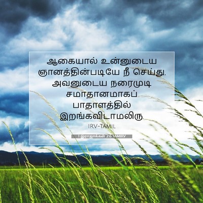 Picture 07 - 1 இராஜாக்கள் 2:6 TAMIRV - ஆகையால் உன்னுடைய - Bible Verse Picture