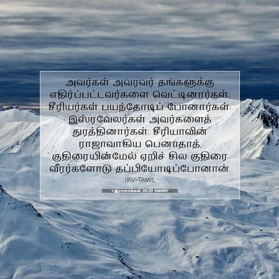 Picture 07 - 1 இராஜாக்கள் 20:20 TAMIRV - அவர்கள் அவரவர் - Bible Verse Picture