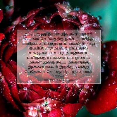 Picture 07 - 1 இராஜாக்கள் 20:42 TAMIRV - அப்பொழுது இவன் - Bible Verse Picture