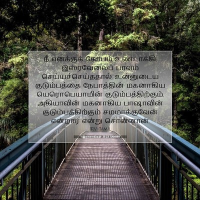 Picture 07 - 1 இராஜாக்கள் 21:22 TAMIRV - நீ எனக்குக் கோபம் - Bible Verse Picture