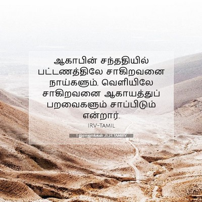 Picture 07 - 1 இராஜாக்கள் 21:24 TAMIRV - ஆகாபின் - Bible Verse Picture